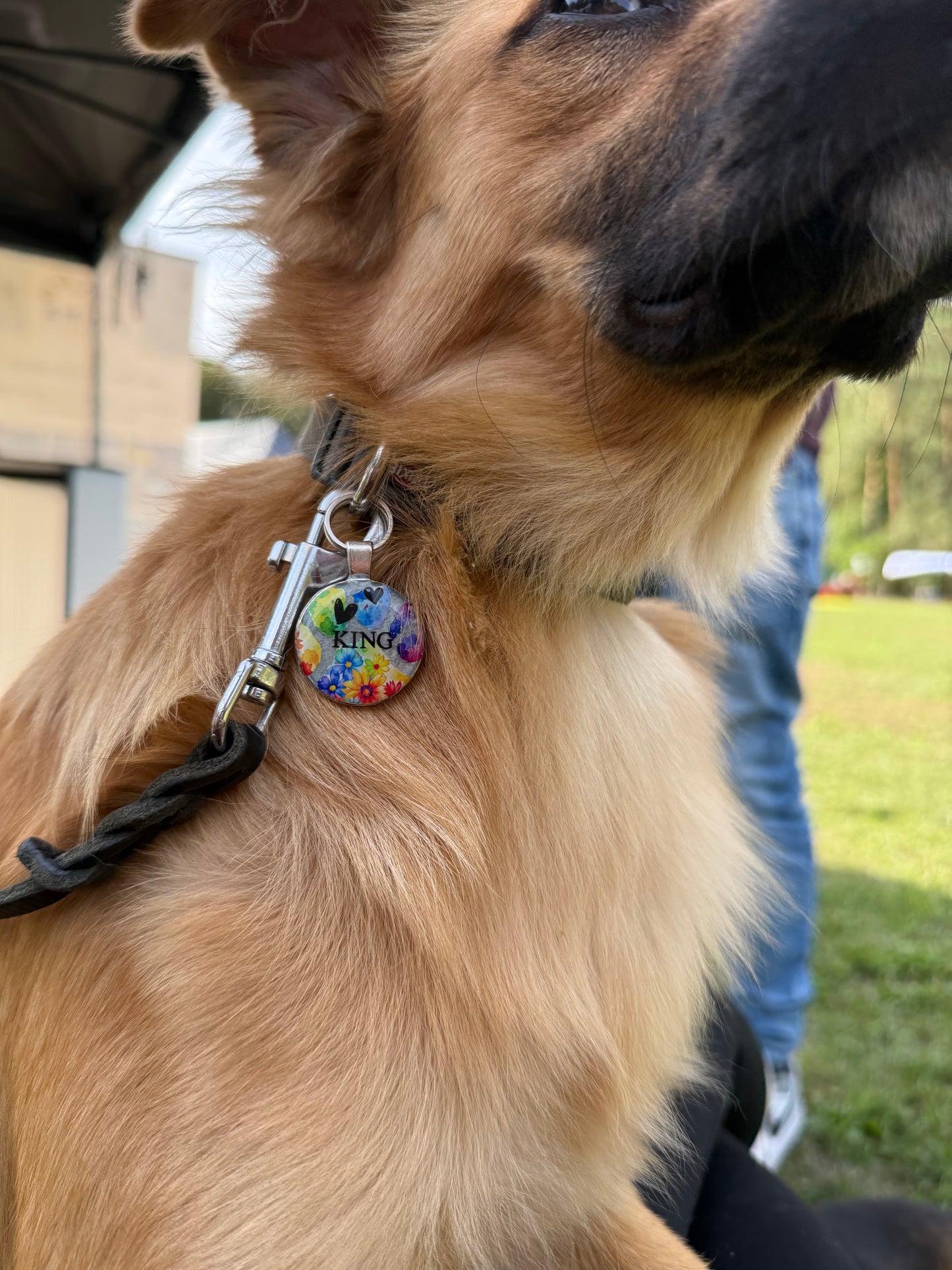 Personalisierbare Marke – fürs Halsband