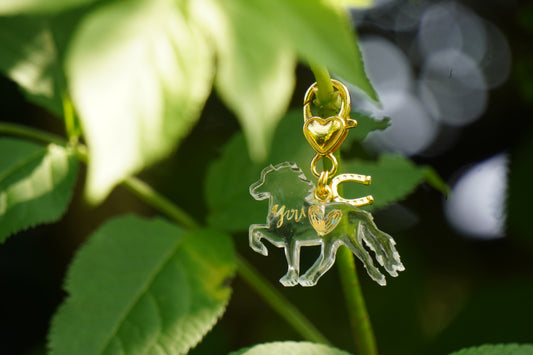 Isländer Schlüsselanhänger „you Gold“